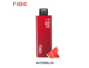 FIBIE 7000 jednorazowy elektroniczny papieros WATERMELON